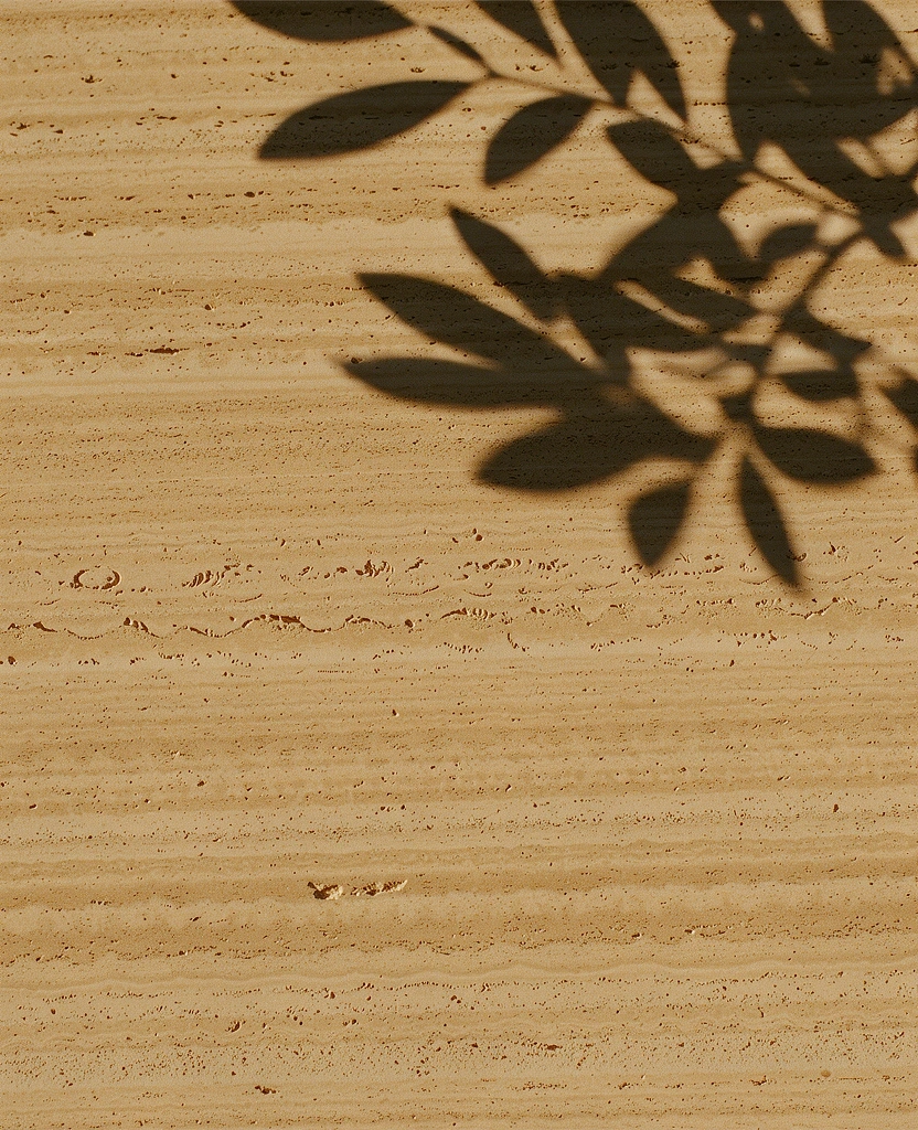 Textured stone surface with olive leaf shadows